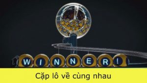 Cặp lô ra cùng nhau