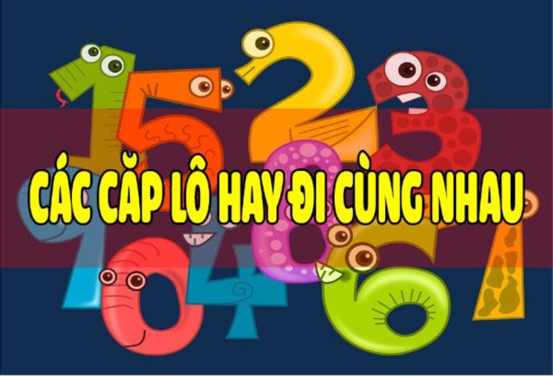 Có rất nhiều cặp lô đi cùng nhau